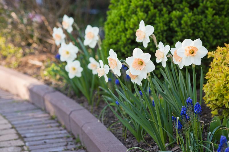 Hardscape Installation